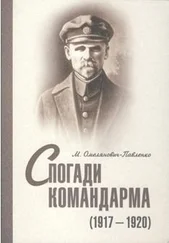 Михаил Омелянович-Павленко - Спогади командарма (1917-1920)