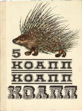 Майлен Константиновский КОАПП! КОАПП! КОАПП! Репортаж о событиях невероятных. Вып. 5 обложка книги