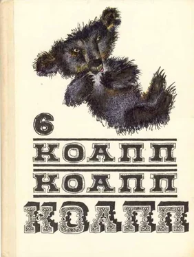 Майлен Константиновский КОАПП! КОАПП! КОАПП! Вып. 6. обложка книги