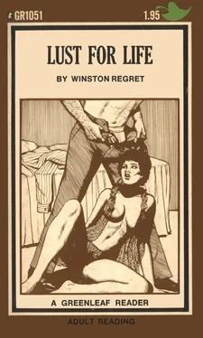 Winston Regret Lust for life обложка книги