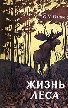 Сергей Огнев Жизнь леса обложка книги