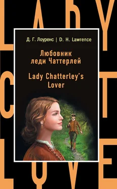 Дэвид Лоуренс Lady Chatterley's Lover [С англо-русским словарем] обложка книги