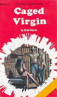 Brad Harris Caged virgin обложка книги