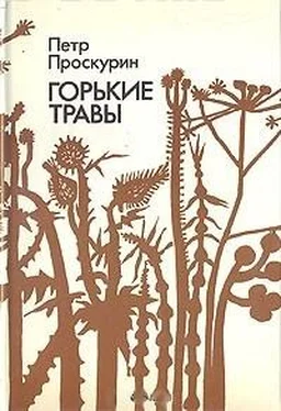 Петр Проскурин Горькие травы обложка книги