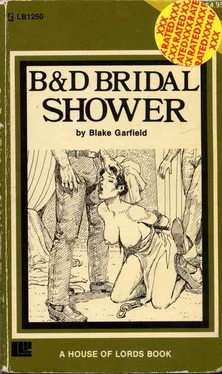 Blake Garfield Bridal shower обложка книги