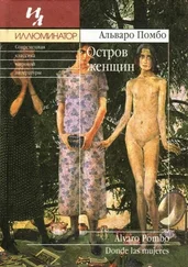 Альваро Помбо - Остров женщин