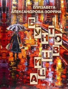 Елизавета Александрова-Зорина Бунтовщица обложка книги