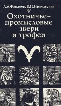 Алексей Фандеев Охотничье-промысловые звери и трофеи обложка книги
