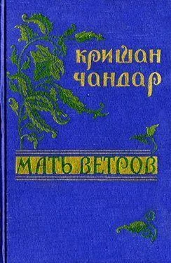 Кришан Чандар Утро обложка книги