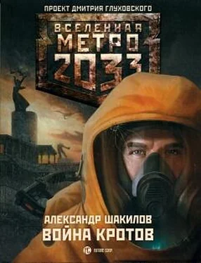 Александр Шакилов МЕТРО 2033: ВОЙНА КРОТОВ обложка книги