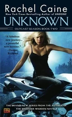 Rachel Caine Unknown обложка книги