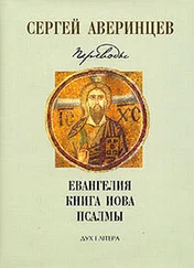 Сергей Аверинцев - Собрание сочинений. Переводы - Евангелие от Матфея. Евангелие от Марка. Евангелие от Луки. Книга Иова. Псалмы Давидовы