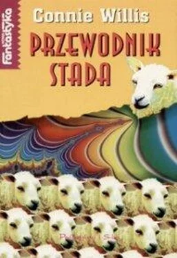 Connie Willis Przewodnik stada обложка книги