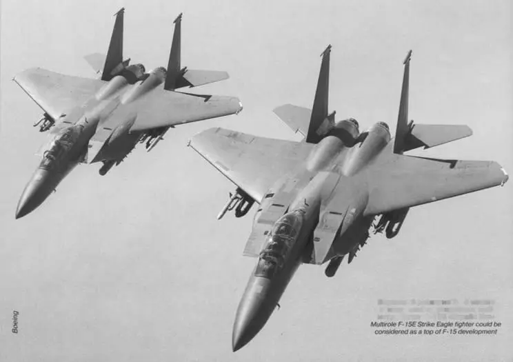 Вершиной развития F15 можно считать многофункциональный истребитель F15E - фото 154