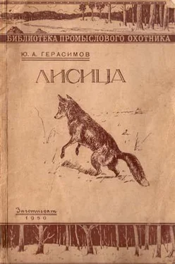 Юрий Герасимов Ю.А. Герасимов Лисица обложка книги