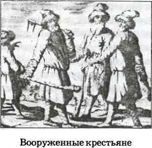 Особую остроту социальноэкономические противоречия приобрели в южных землях - фото 19