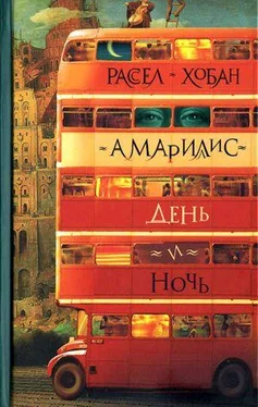 Рассел Хобан Амариллис день и ночь обложка книги