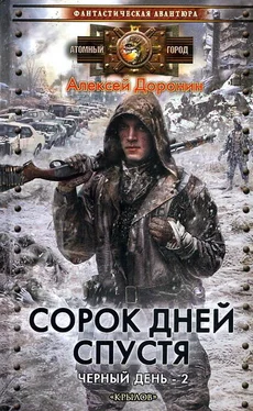 Алексей Доронин Сорок дней спустя обложка книги