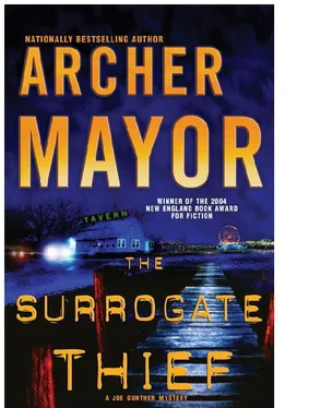 Archer Mayor The surrogate thief обложка книги