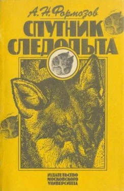 Александр Формозов А.Н. Формозов Спутник следопыта обложка книги