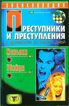 Дмитрий Мамичев Преступники и преступления с древности до наших дней. Маньяки, убийцы обложка книги