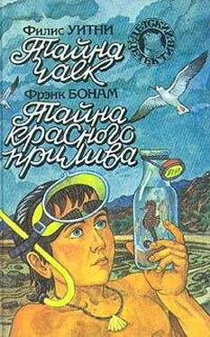 Филис Уитни Тайна чаек. Тайна красного прилива обложка книги