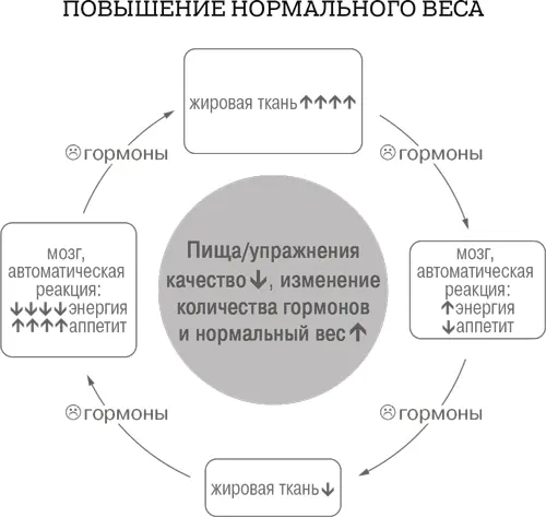 Как снизить нормальный вес Вы должно быть думаете Все эти теории насчет - фото 7