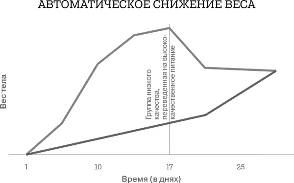 Крысята ранее быстро набиравшие лишний вес при улучшении качествапитания - фото 9