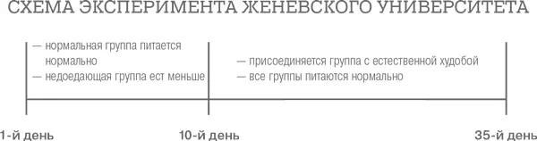 Как вы думаете в какой из групп к концу эксперимента крысы весили больше и - фото 10
