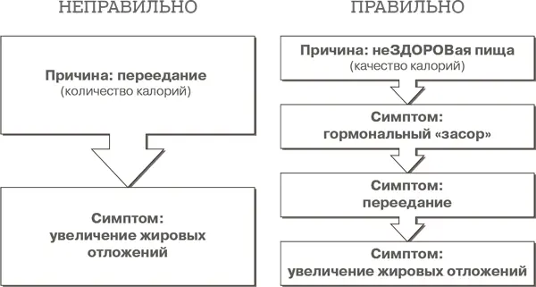 Теперь когда мы разобрали каждый из мифов о калориях мне бы хотелось немного - фото 31