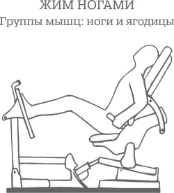 Сядьте на скамью тренажера обопритесь на спинку Откиньте голову расправьте - фото 122