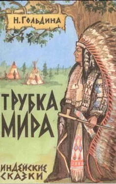 Наталья Гольдина Трубка мира обложка книги