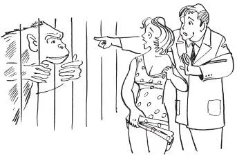 Its a beautiful warm spring day and a man and his wife are visiting the local - фото 29