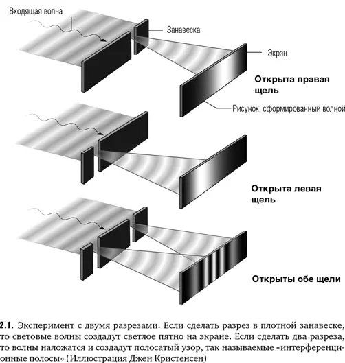 Какой бы убедительной она ни была идея Юнга пребывала в забвении в течение - фото 6