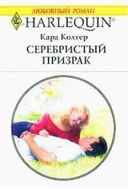 Кара Колтер Серебристый призрак обложка книги