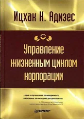 Ицхак Адизес - Управление жизненным циклом корпорации