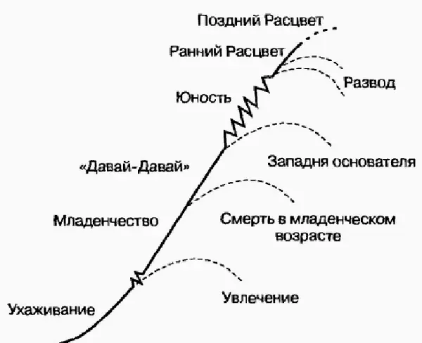 Рис 61Расцвет организации Что такое Расцвет Это оптимальное состояние - фото 15