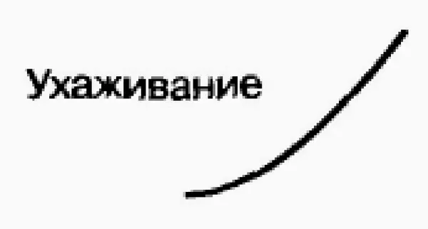 Рис 21Этап Ухаживания Формирование преданности В период Ухаживания акцент - фото 2
