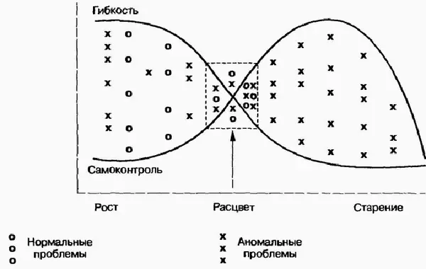 Рис 161Нормальные и аномальные проблемы Методология Адизеса является - фото 62