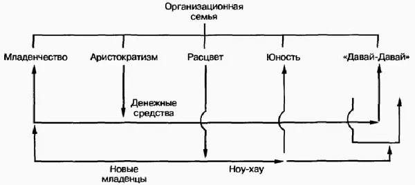 Рис 177Организационная семья По мере того как одни единицы стареют другие - фото 69