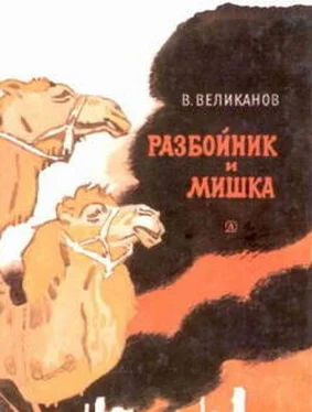 Василий Великанов Разбойник и Мишка обложка книги