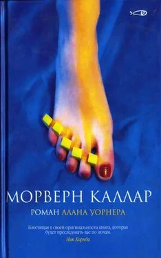 Алан Уорнер Морверн Каллар обложка книги
