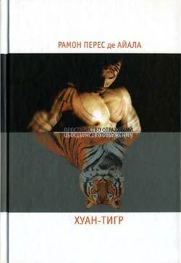 Рамон Перес де Айала Хуан-Тигр обложка книги