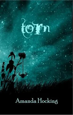 Аманда Хокинг Torn обложка книги