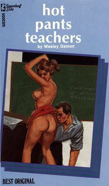 Wesley Damon Hot pants teachers обложка книги