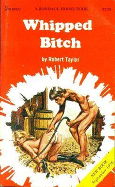 Robert Taylor Whipped bitch обложка книги