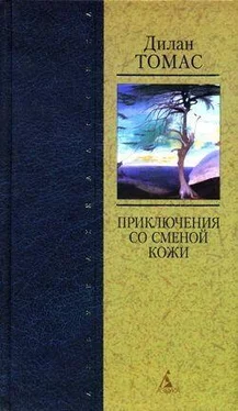 Дилан Томас Рассказ обложка книги