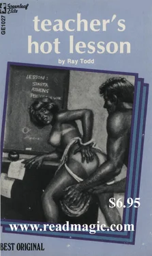 Ray Todd Teacher_s hot lesson обложка книги