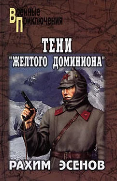 Рахим Эсенов Тени «Желтого доминиона» обложка книги