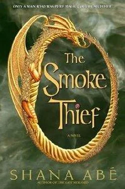 Shana Abé The Smoke Thief обложка книги